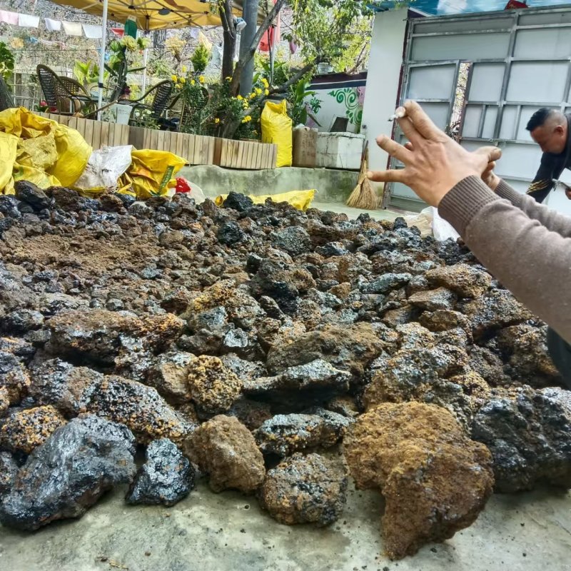 悬崖上的猴结大量批发量大从优品质保证