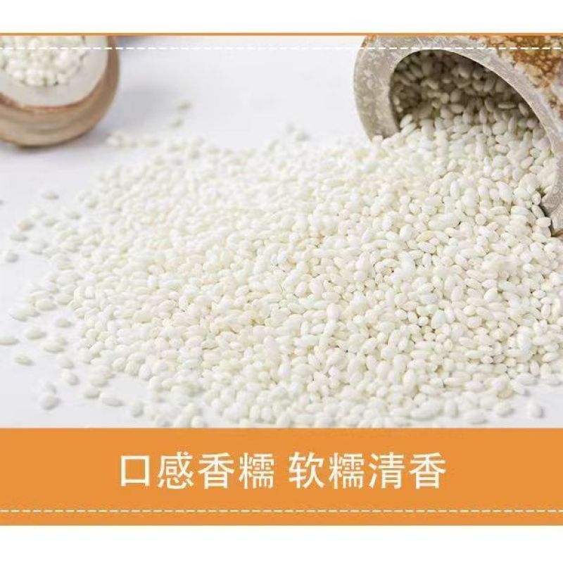 【牛商优选】贵州从江特产香和糯米一家蒸米吃香甜润滑
