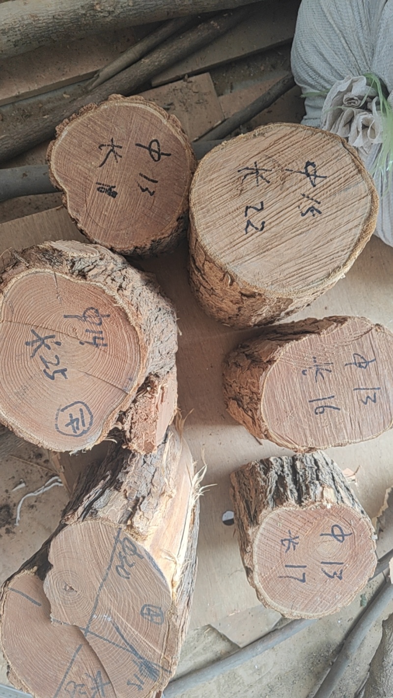 文冠木中药材文冠果整个切段各种规格欢迎选购