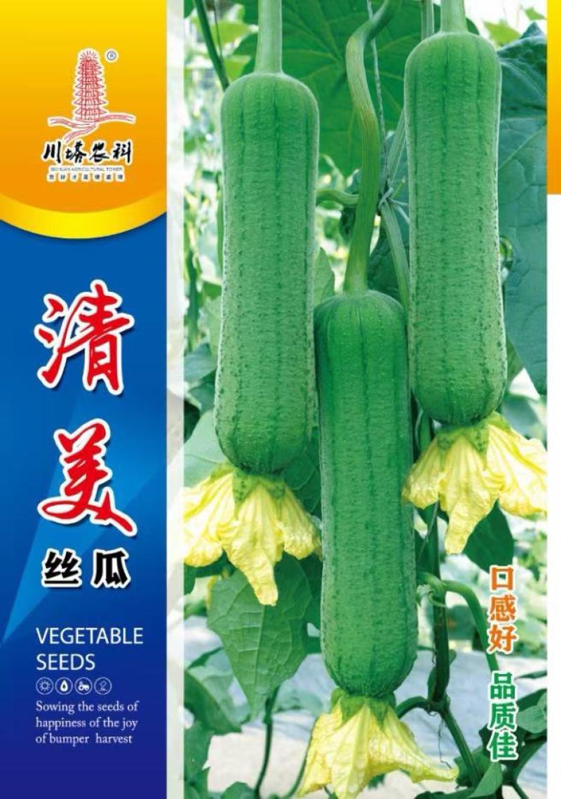 丝瓜种子清美早熟高产短棒肉丝瓜品种顺直商品性好