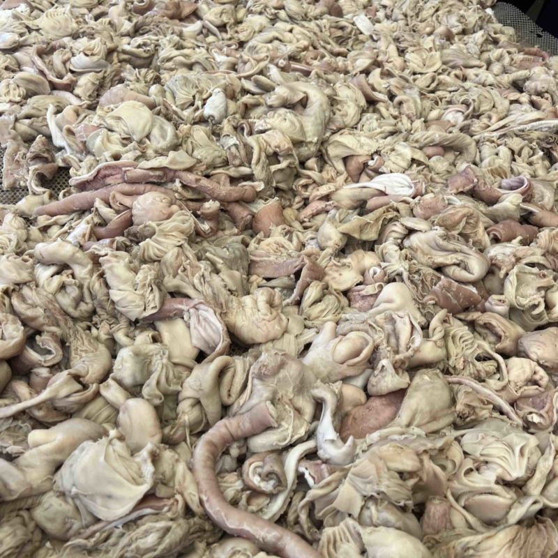 羊小肚