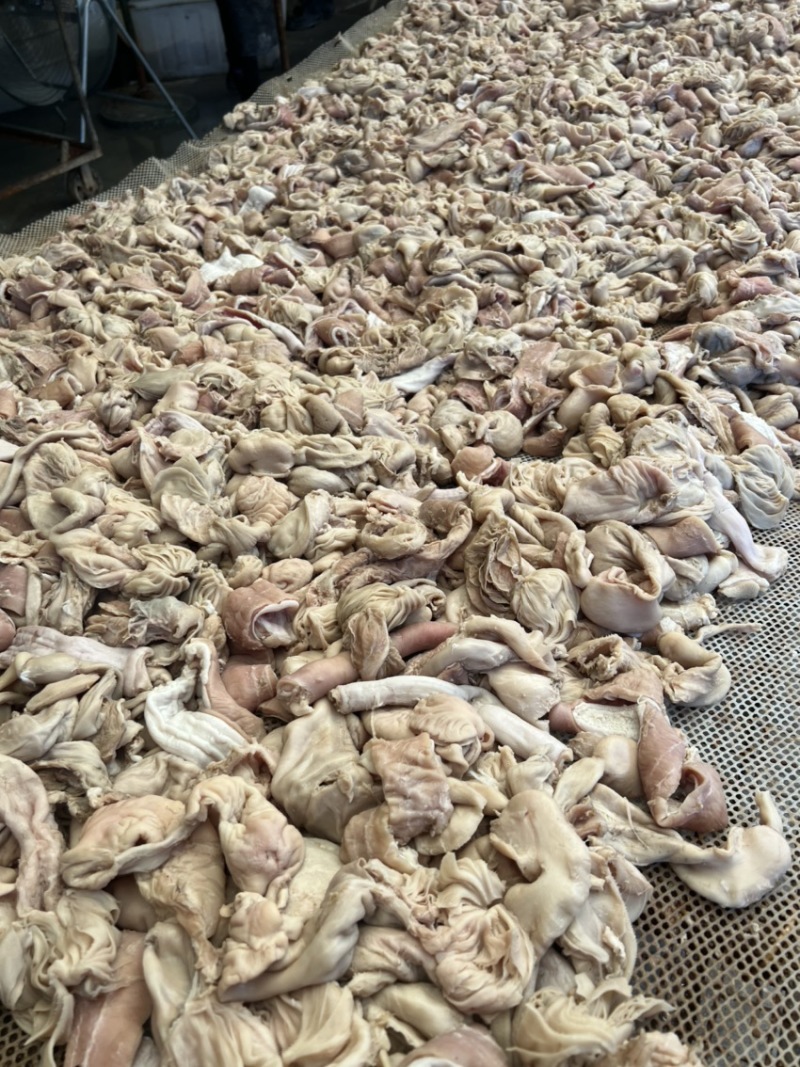 羊小肚