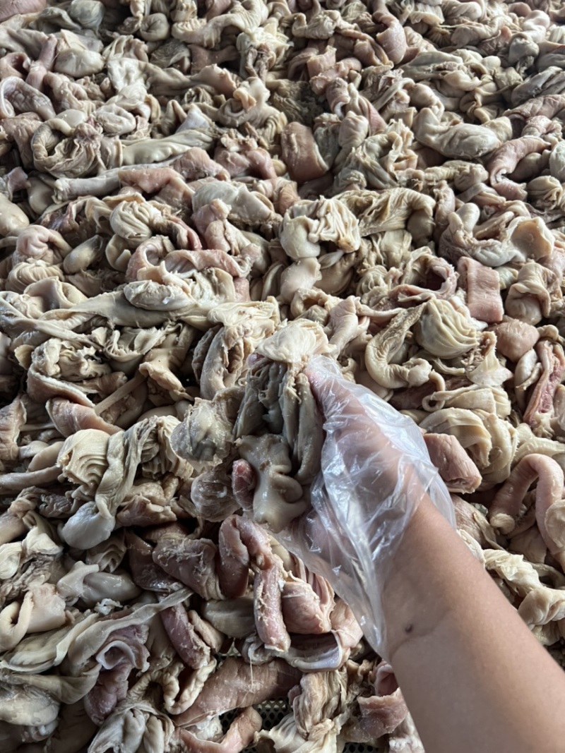 羊小肚