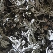 新鲜艾叶，天然无污染，药用价值高，家庭必备，助您健康生活！