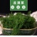 【推荐】福建精品龙须菜供应市场商超电商品质保证量大从优