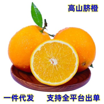 一件代发现货四川高山脐橙子当季新鲜水果供各大平台直播电商