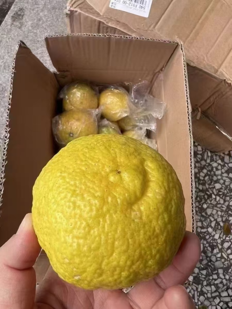 春香有要的老板说下，通通都是批发价格