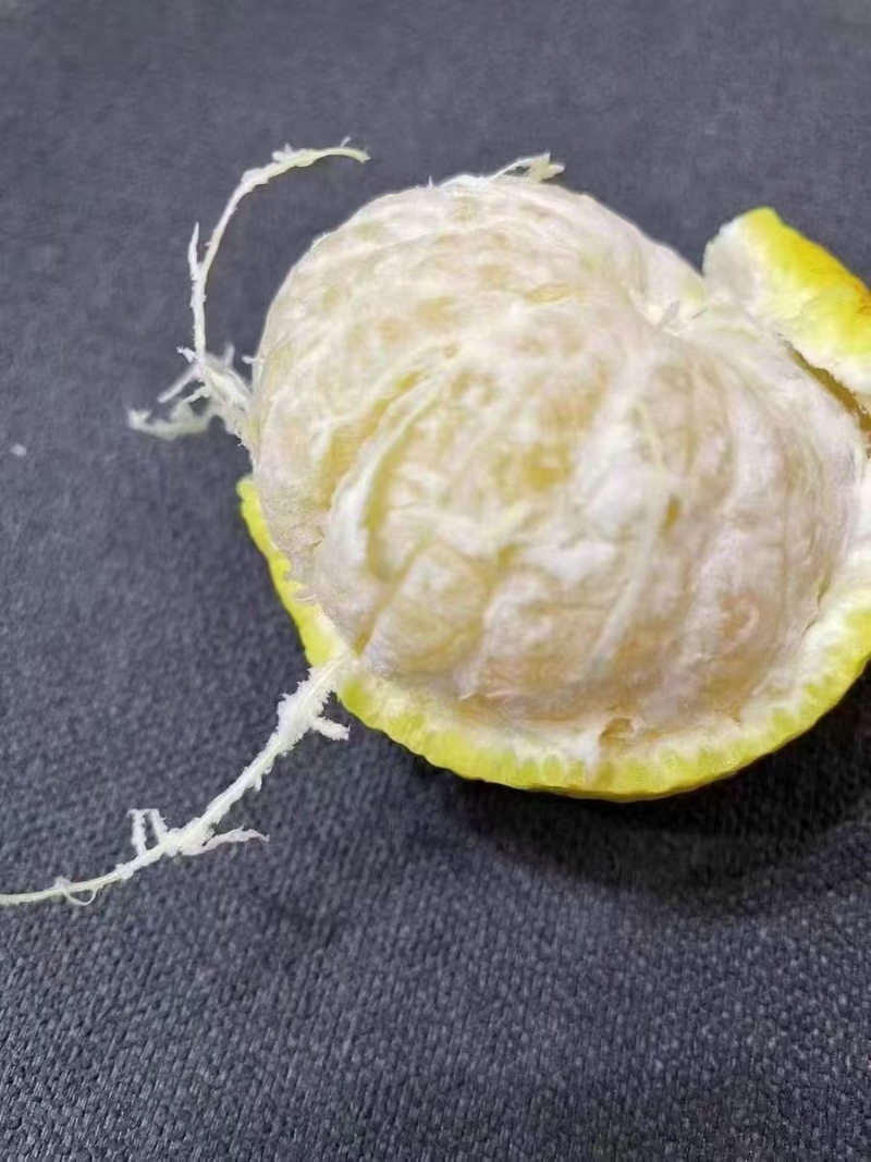 春香有要的老板说下，通通都是批发价格