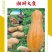 湘研大蜜大果蜜本种子特粉甜肉质紧密果形好！