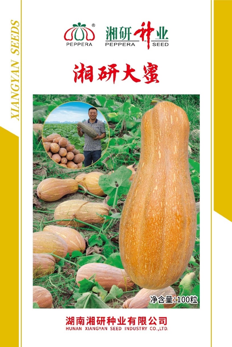 湘研大蜜大果蜜本种子特粉甜肉质紧密果形好！
