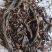 紫草新疆软紫草根颜色好优质货源产地直销批发各种中药材