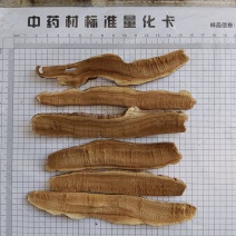 灵芝片，家种产地一手货源，无差价实拍现货