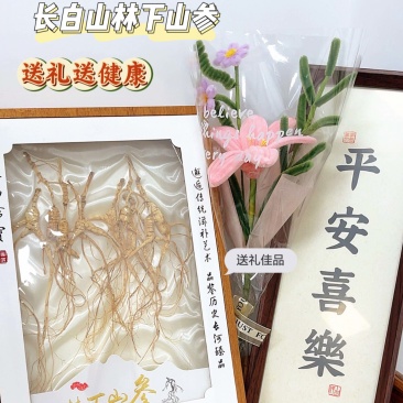 长白山林下参30克高年份野山林下参山参