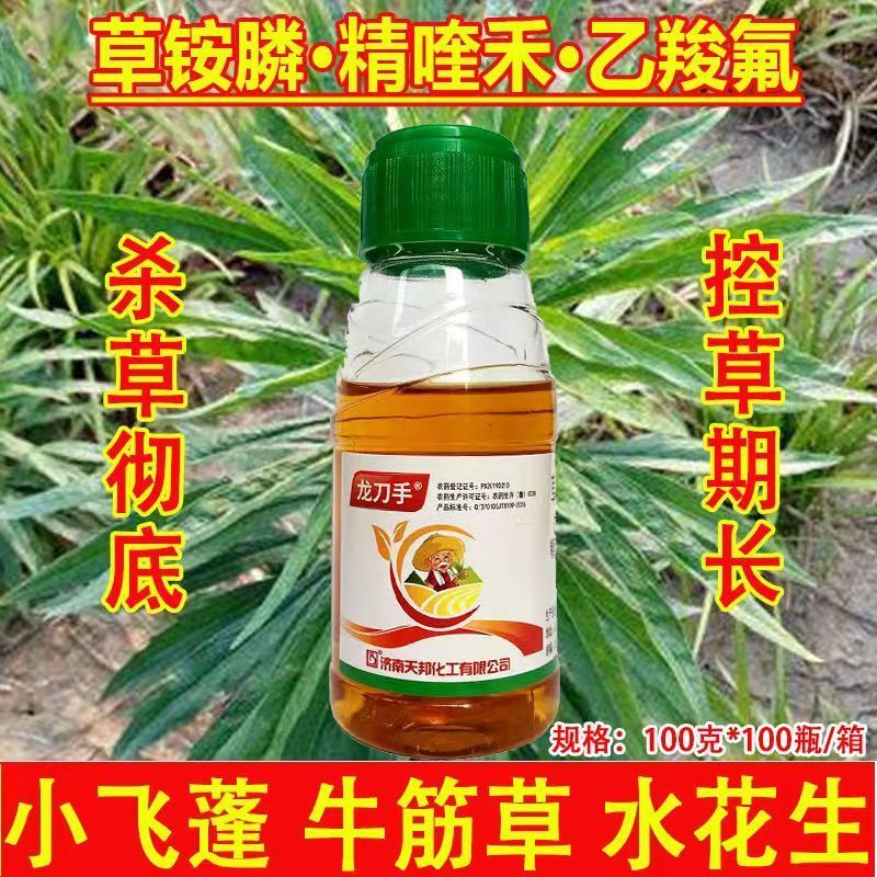 草铵膦.精喹.乙羧氟草醚防治非耕地杂草
