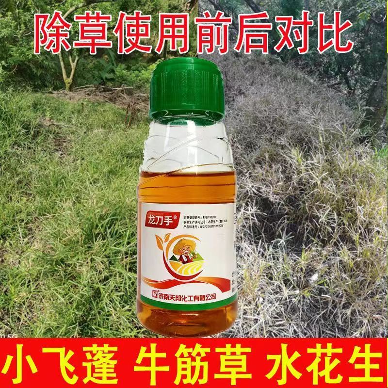 草铵膦.精喹.乙羧氟草醚防治非耕地杂草