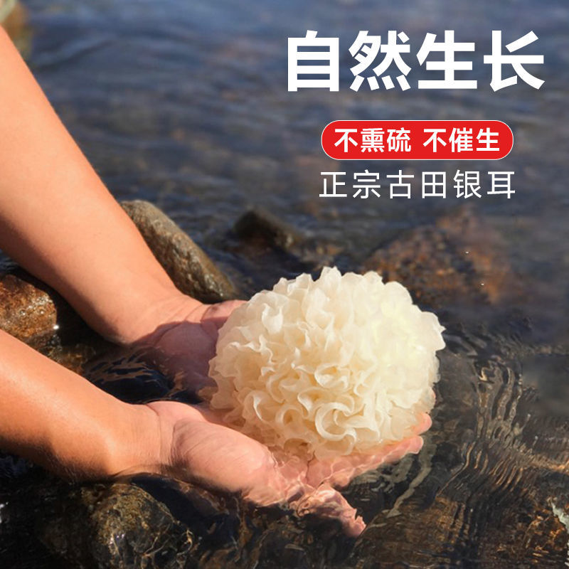【净重无干燥剂】大花银耳新鲜干货古田无硫白木糯银耳羹百合