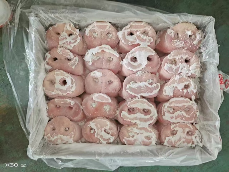 去骨猪拱嘴
