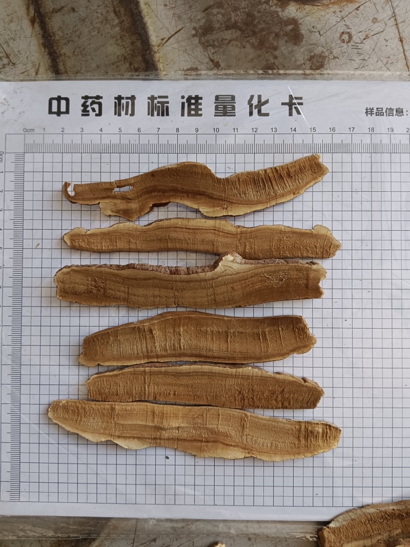 灵芝，灵芝个，灵芝片产地直发，实拍现货24小时内发货