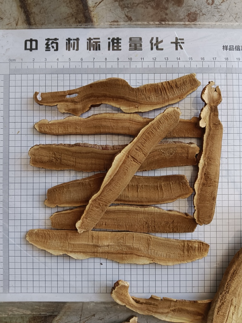 灵芝，灵芝个，灵芝片产地直发，实拍现货24小时内发货