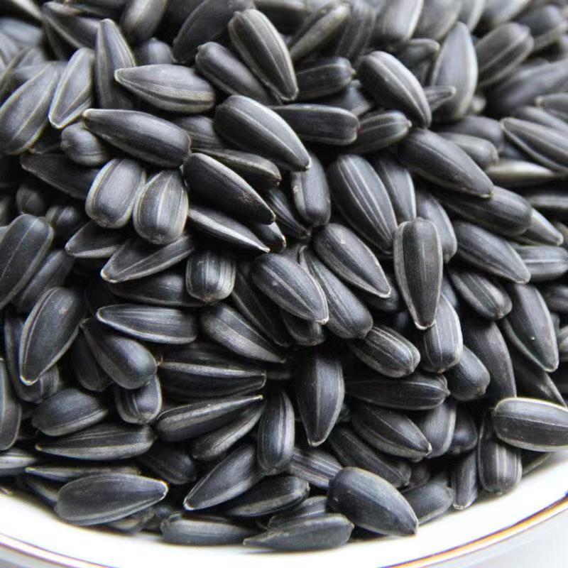 黑珍珠油葵瓜子生瓜子带壳瓜子***宠物零食可散装可打包