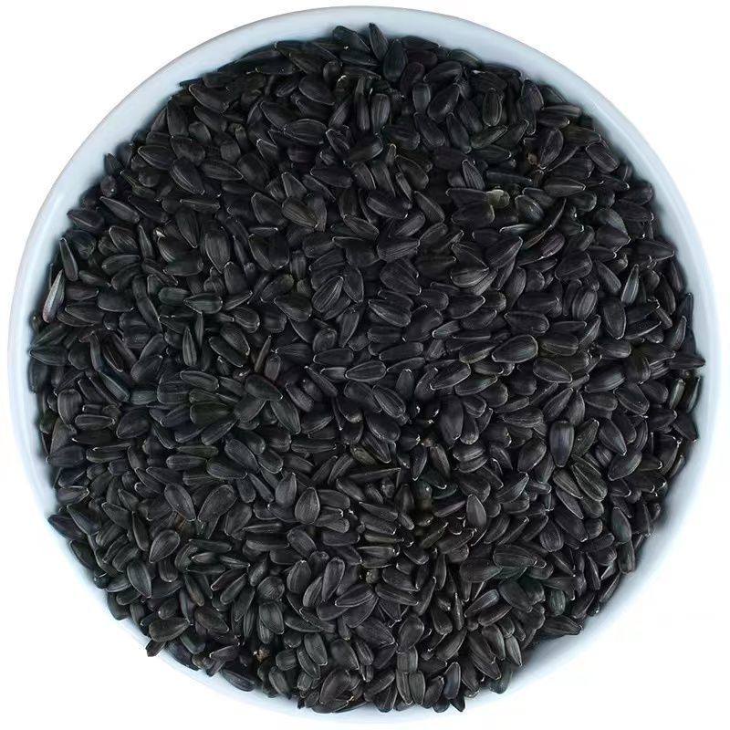 黑珍珠油葵瓜子生瓜子带壳瓜子***宠物零食可散装可打包