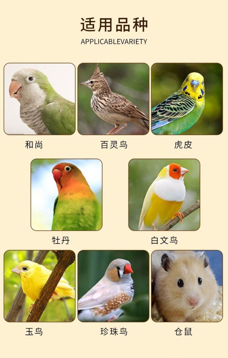 黑珍珠油葵瓜子生瓜子带壳瓜子***宠物零食可散装可打包