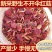 野生红菇干货不开伞新鲜小朵红菇野生红蘑红菌煲汤