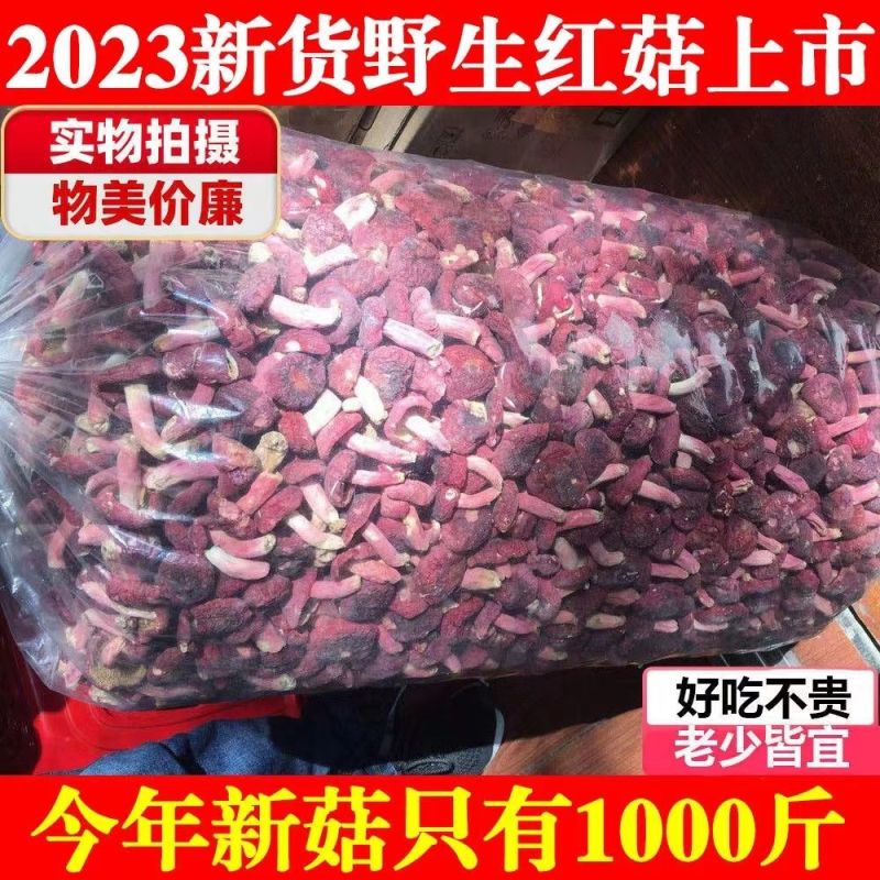 野生红菇干货不开伞新鲜小朵红菇野生红蘑红菌煲汤