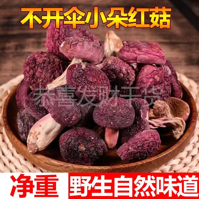 野生红菇干货不开伞新鲜小朵红菇野生红蘑红菌煲汤