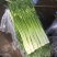 云南蒜苔白帽蒜苔红帽蒜苔