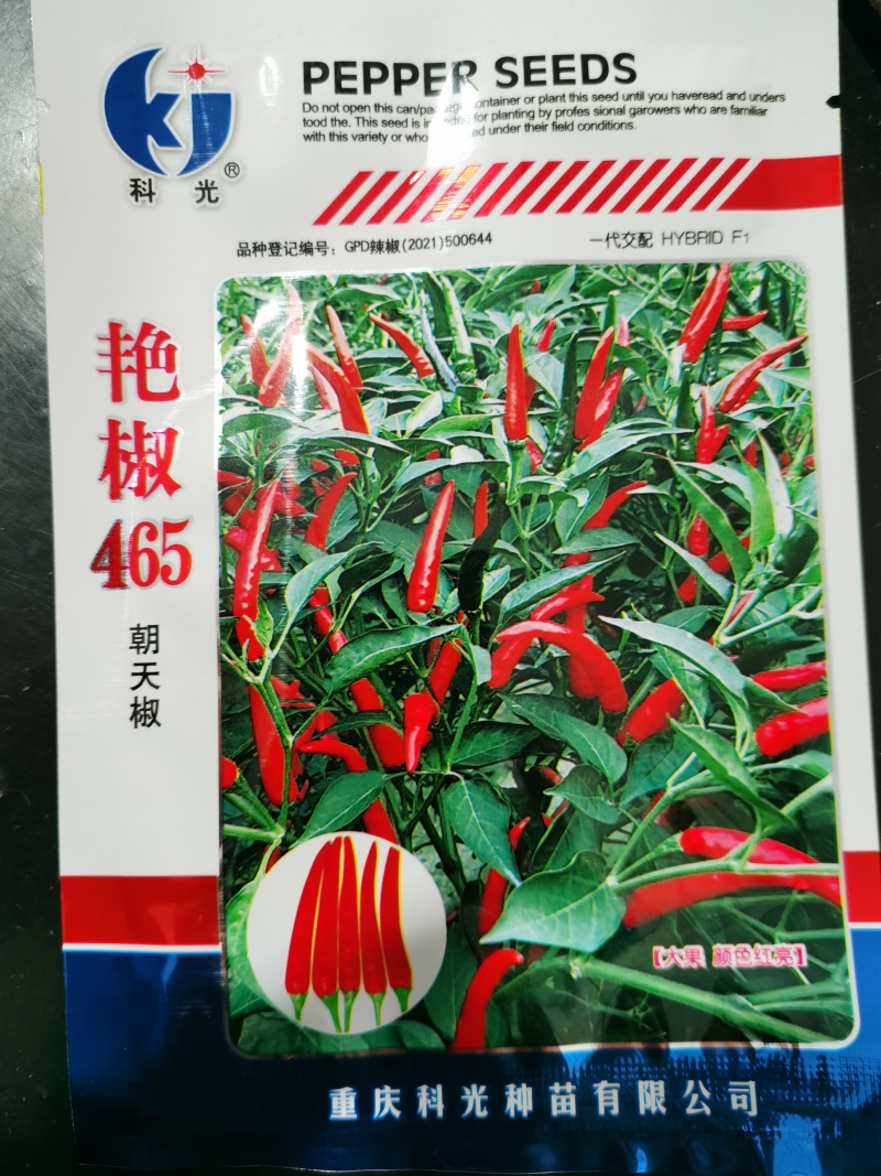 艳椒465高辣丰产型簇生红贵211辣度高