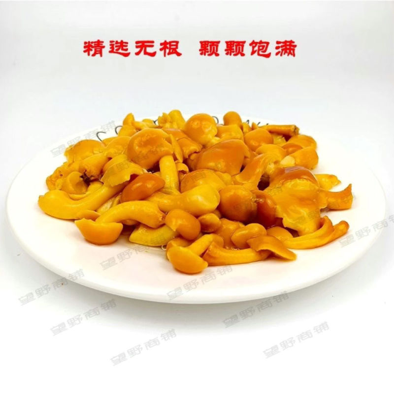 东北特产蘑菇长白山野山菜新鲜腌制滑子菇滑子蘑清水滑子蘑7