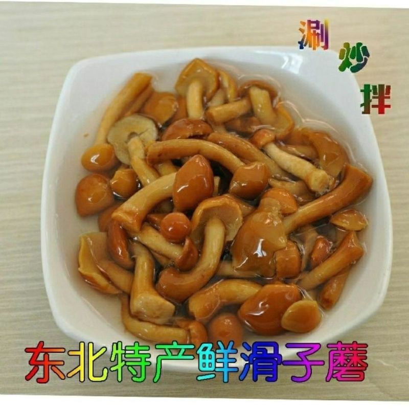 东北特产蘑菇长白山野山菜新鲜腌制滑子菇滑子蘑清水滑子蘑7