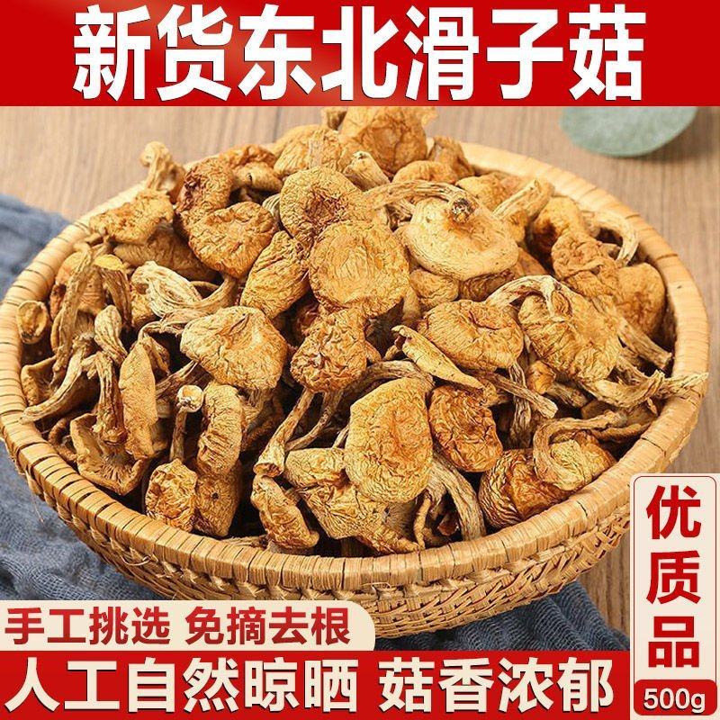 【无干燥剂】滑子菇干货农家新货滑子小鸡炖蘑菇