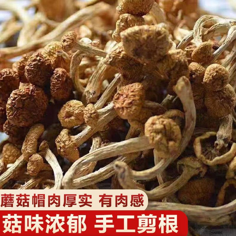 【无干燥剂】滑子菇干货农家新货滑子小鸡炖蘑菇