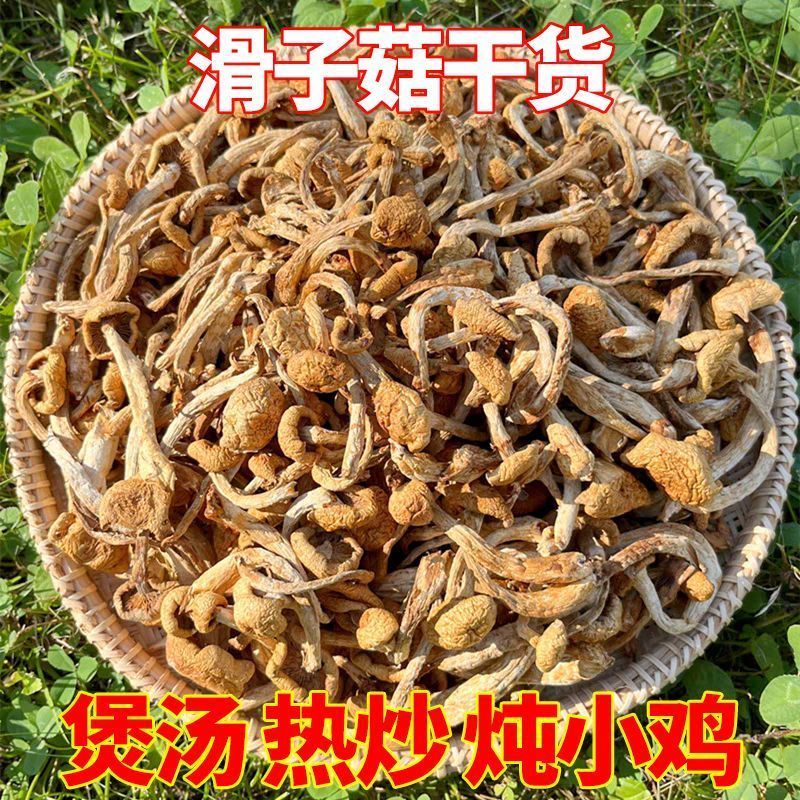 【无干燥剂】滑子菇干货农家新货滑子小鸡炖蘑菇