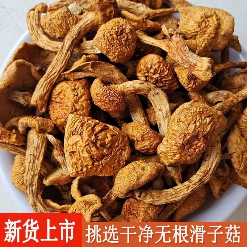 【无干燥剂】滑子菇干货农家新货滑子小鸡炖蘑菇