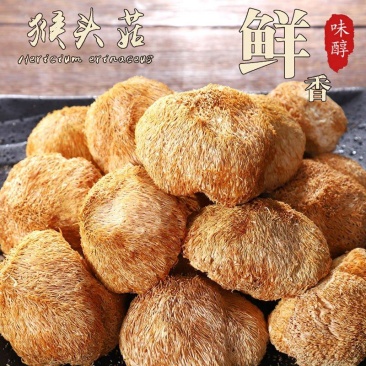 云南猴头菇新鲜干货250/500g新货无硫正宗猴头菌食用