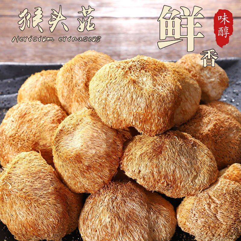 云南猴头菇新鲜干货250/500g新货无硫正宗猴头菌食用
