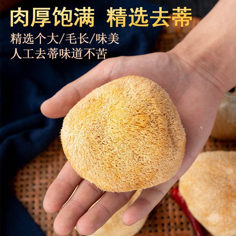 云南猴头菇新鲜干货250/500g新货无硫正宗猴头菌食用