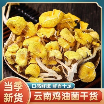 鸡油菌干货云南特产煲汤净重批发野生