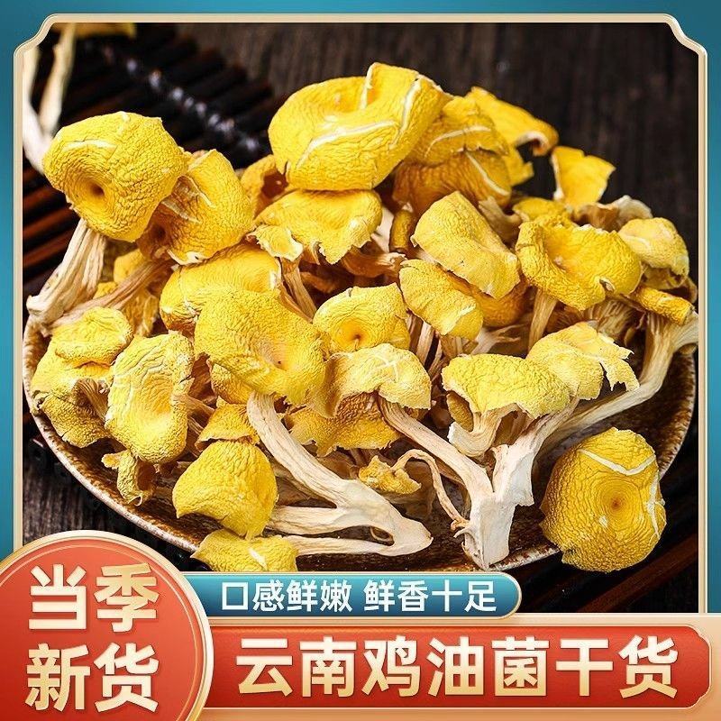 鸡油菌干货云南特产煲汤净重批发野生