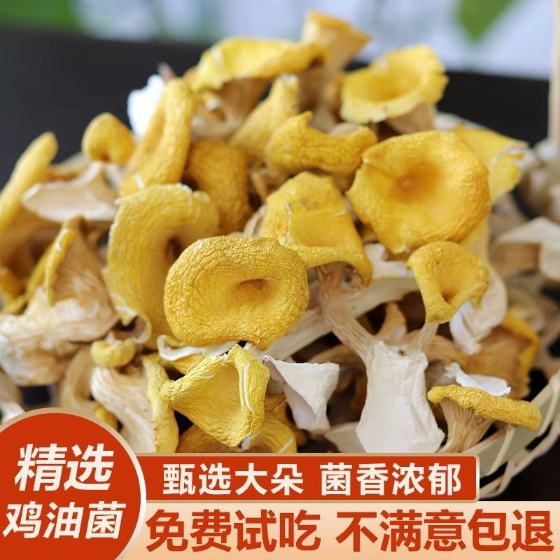 鸡油菌干货云南特产煲汤净重批发野生