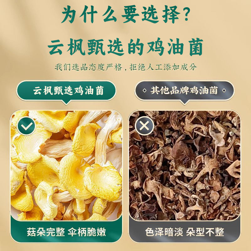 鸡油菌干货云南特产煲汤净重批发野生