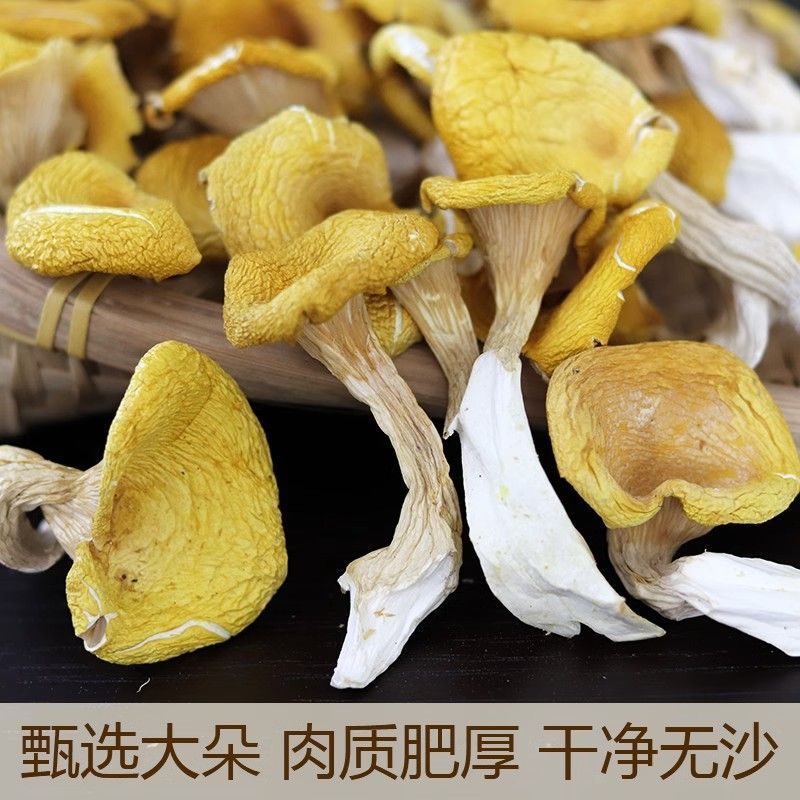 鸡油菌干货云南特产煲汤净重批发野生