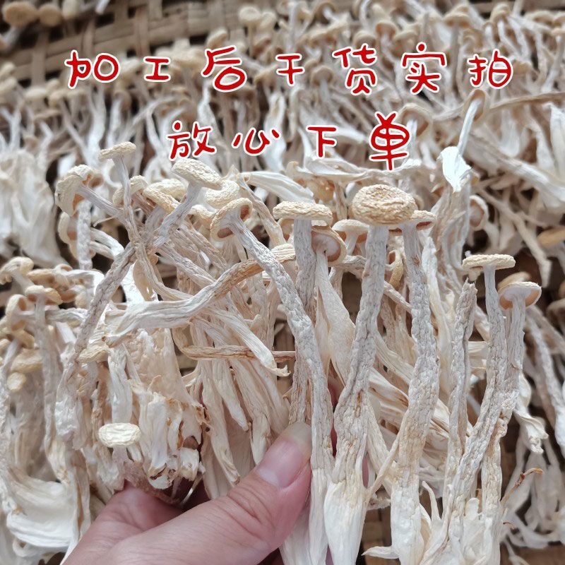 【大降价】海鲜菇干货当季新货脆嫩蟹味菇食用菌新鲜农家煲汤