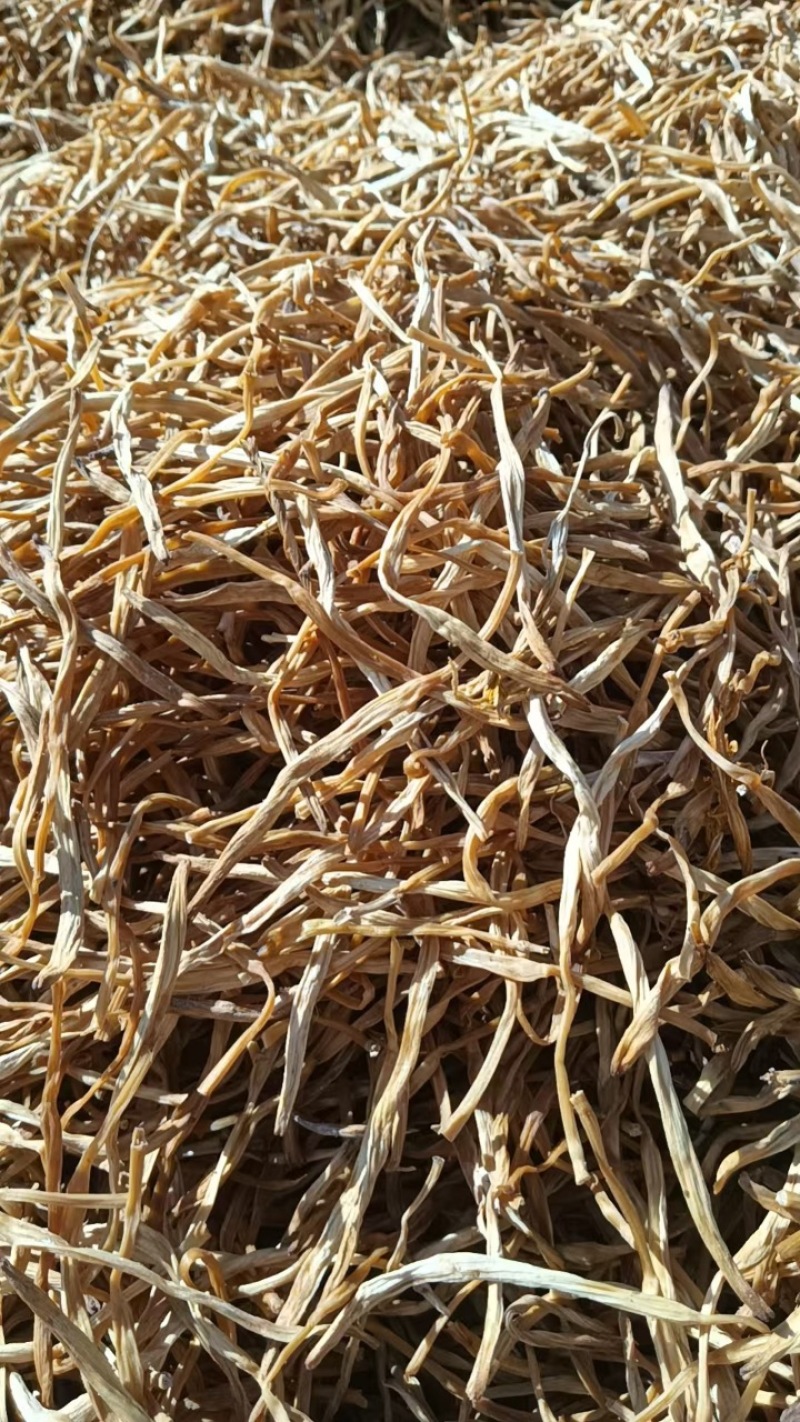 包邮：宁夏白条)黄花菜，箱装20斤，保质保量保退保换