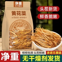 【净重无干燥剂】黄花菜新鲜干货日晒无熏硫金针黄花菜批发价
