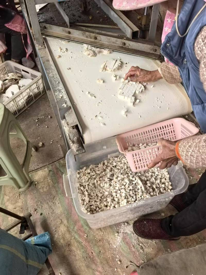 云南新鲜茯苓，干货无硫自然晾晒大量有货，精品货