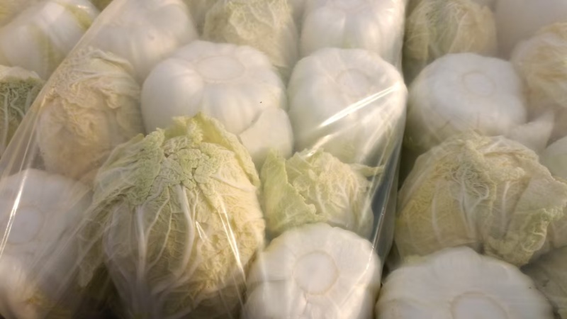 精品娃娃菜产地直供大量有货，对接批发市场超市全国发货